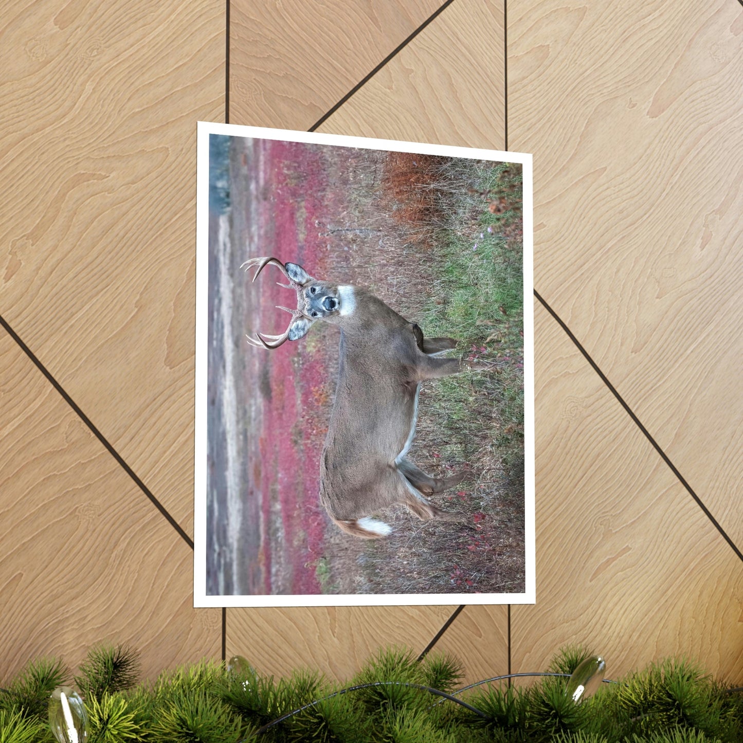 Premium Matte vertical posters - Large whitetail buck in a colorful fall meadow in Smoky Mountain National Park in Summer in Mountain National Park (SMNP) USA - Green Forest Home
