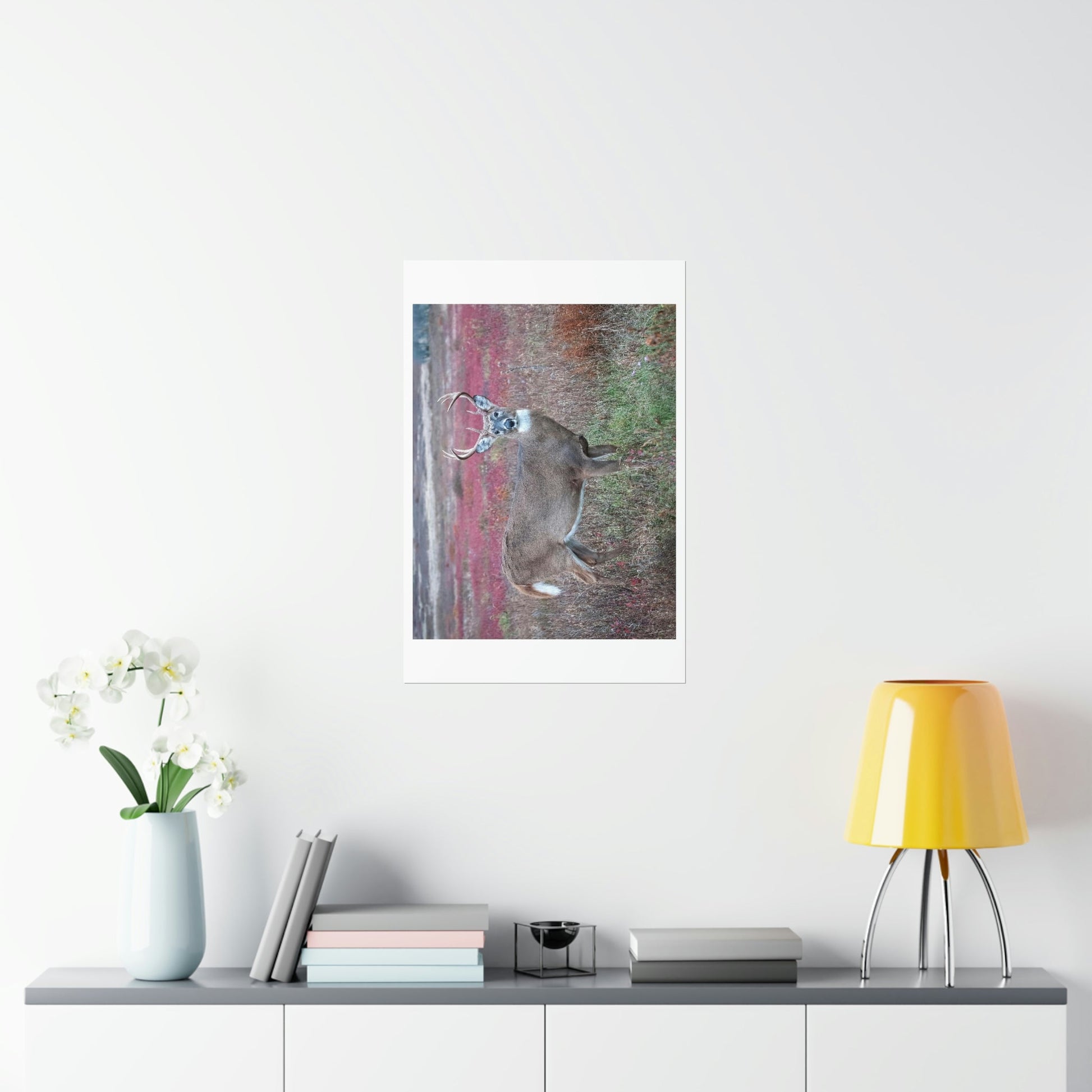 Premium Matte vertical posters - Large whitetail buck in a colorful fall meadow in Smoky Mountain National Park in Summer in Mountain National Park (SMNP) USA - Green Forest Home