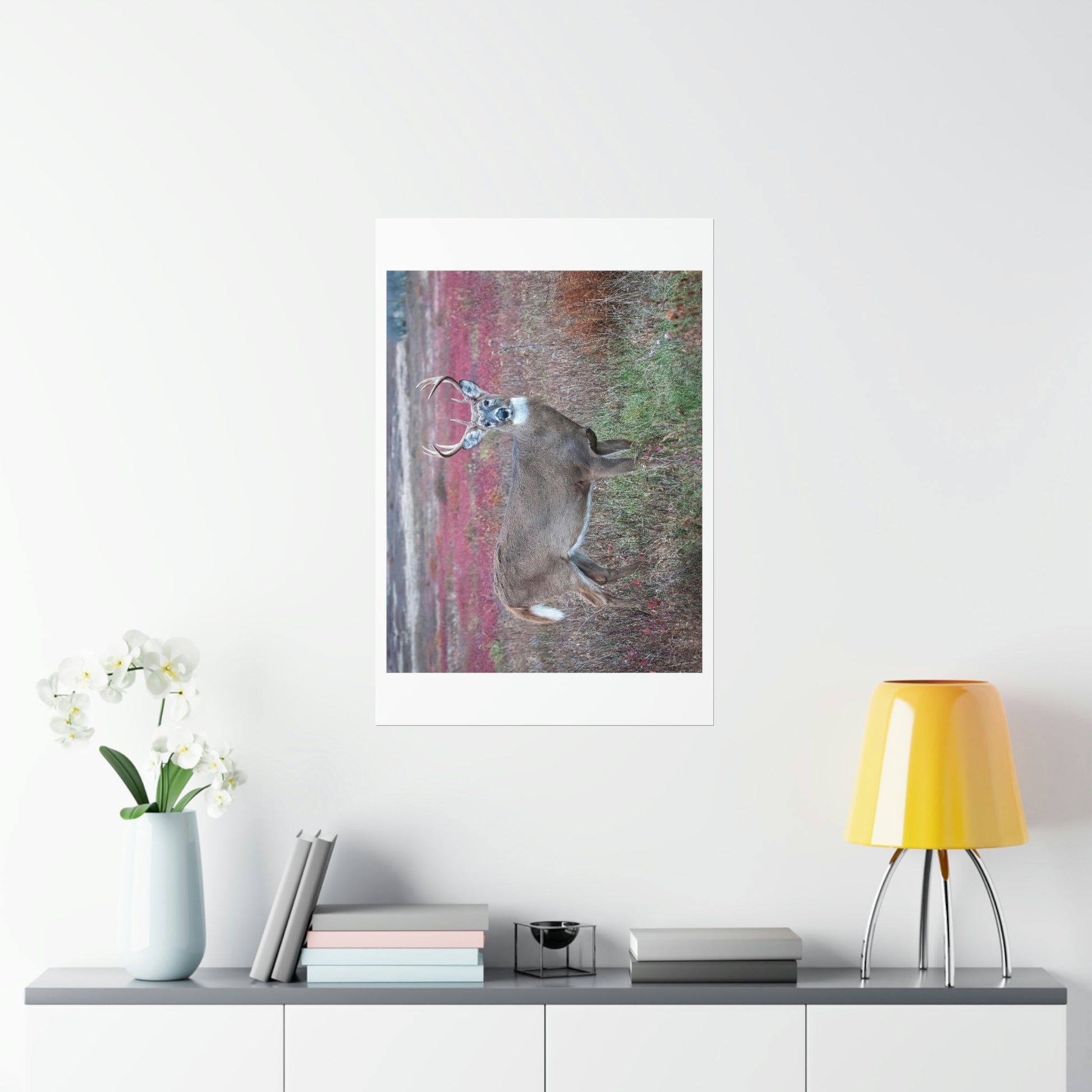 Premium Matte vertical posters - Large whitetail buck in a colorful fall meadow in Smoky Mountain National Park in Summer in Mountain National Park (SMNP) USA - Green Forest Home