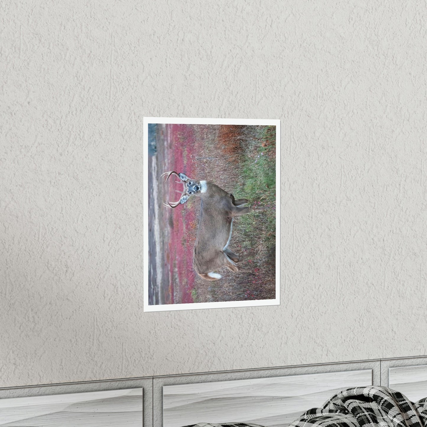 Premium Matte vertical posters - Large whitetail buck in a colorful fall meadow in Smoky Mountain National Park in Summer in Mountain National Park (SMNP) USA - Green Forest Home