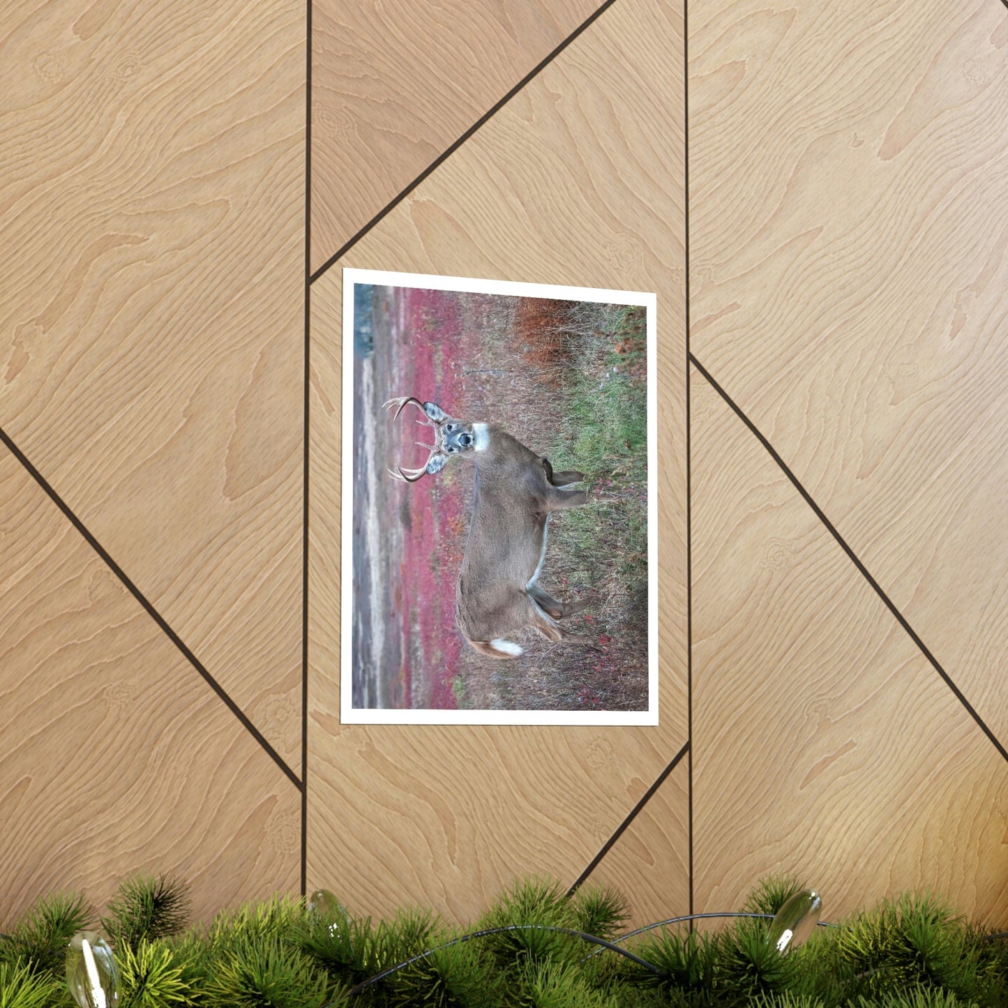 Premium Matte vertical posters - Large whitetail buck in a colorful fall meadow in Smoky Mountain National Park in Summer in Mountain National Park (SMNP) USA - Green Forest Home