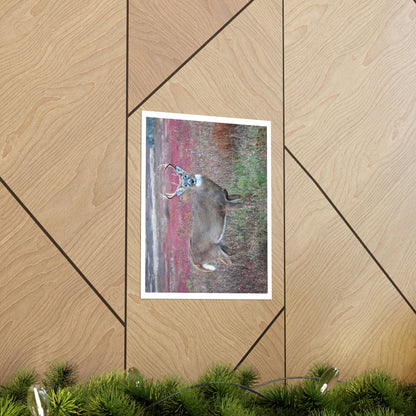Premium Matte vertical posters - Large whitetail buck in a colorful fall meadow in Smoky Mountain National Park in Summer in Mountain National Park (SMNP) USA - Green Forest Home