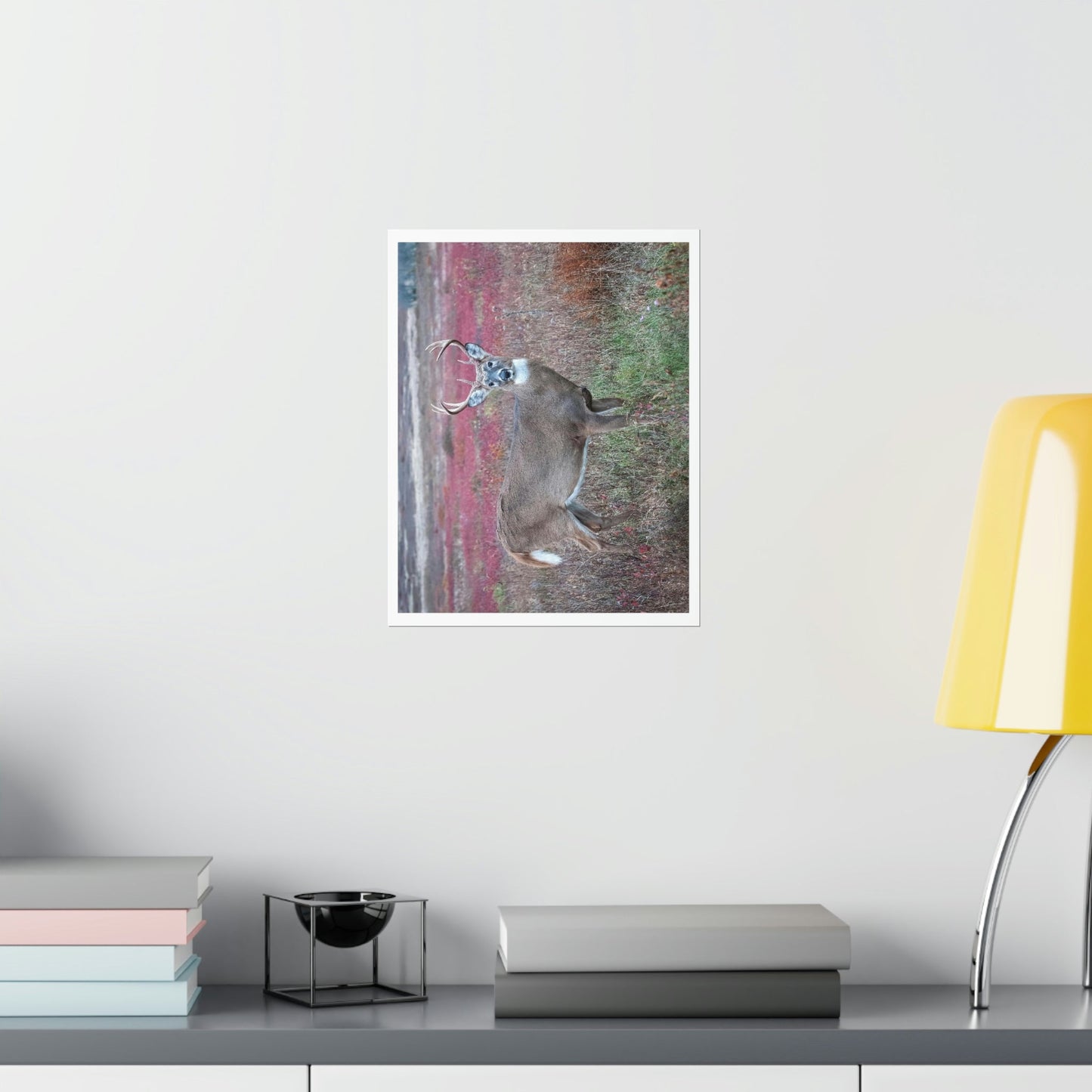 Premium Matte vertical posters - Large whitetail buck in a colorful fall meadow in Smoky Mountain National Park in Summer in Mountain National Park (SMNP) USA - Green Forest Home
