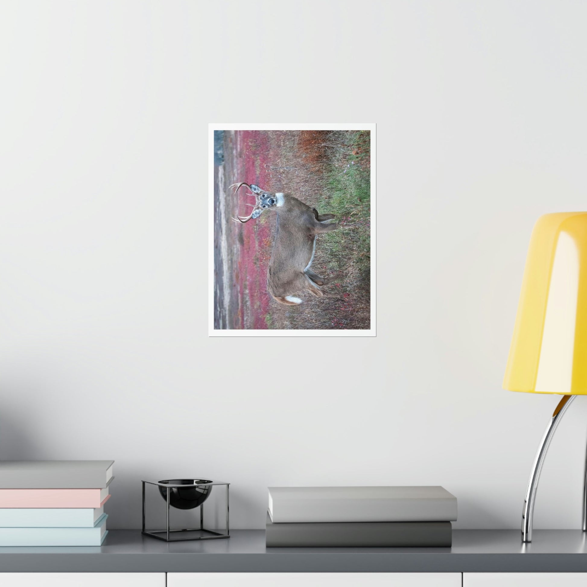 Premium Matte vertical posters - Large whitetail buck in a colorful fall meadow in Smoky Mountain National Park in Summer in Mountain National Park (SMNP) USA - Green Forest Home