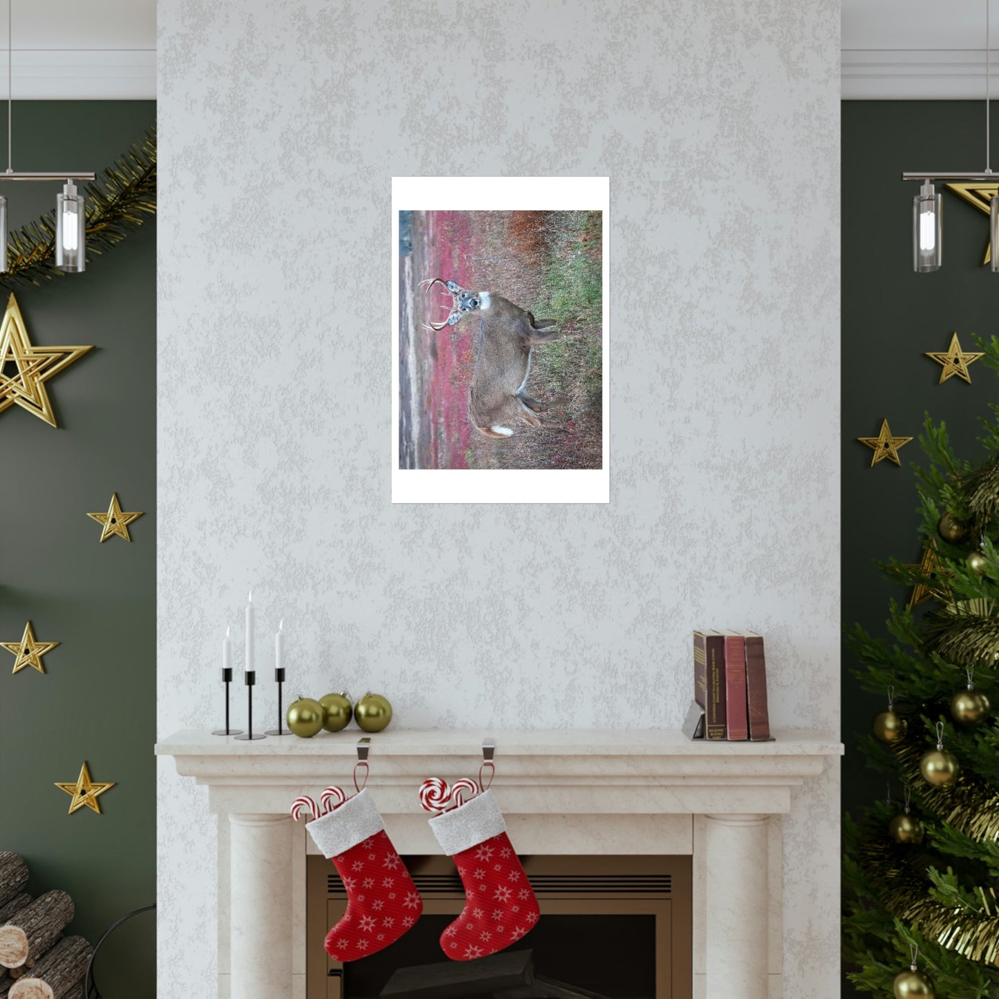 Premium Matte vertical posters - Large whitetail buck in a colorful fall meadow in Smoky Mountain National Park in Summer in Mountain National Park (SMNP) USA - Green Forest Home