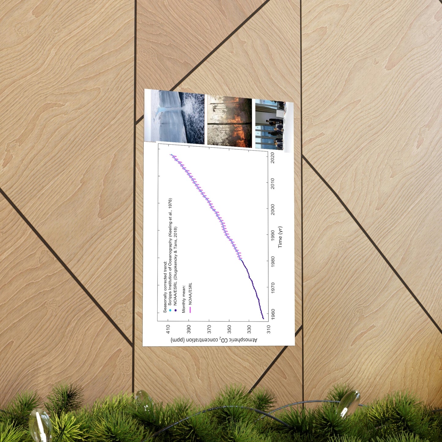 Premium Matte vertical posters - Made in USA in 1 day - The Keeling CO2 curve causing Global Warming - which causes Polar melting, more fires and Trumps empty chair on the G7 Climate Chnange meeting in France - Green Forest Home