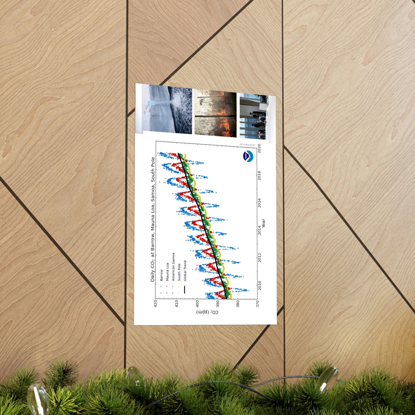 Premium Matte vertical posters - Made in USA in 1 day - The Keeling CO2 curve causing Global Warming - which causes Polar melting, more fires and Trumps empty chair on the G7 Climate Chnange meeting in France - Green Forest Home