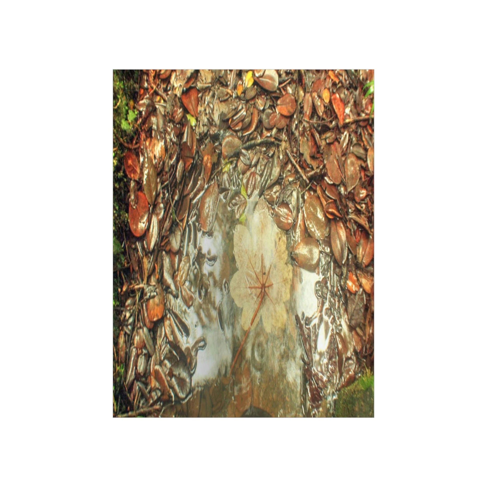Premium Matte vertical posters - On the Tradewinds trail we find this (white side) Yagrumo tree-leaf after a rain storm - El Yunque PR - Green Forest Home