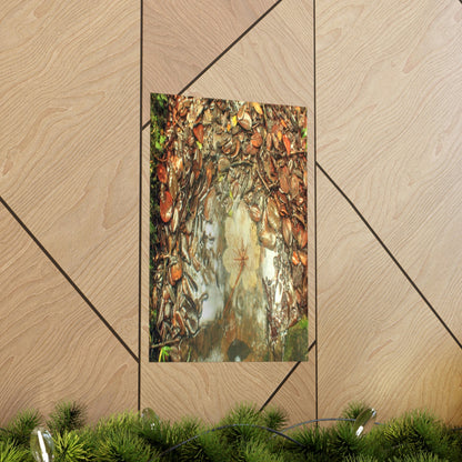 Premium Matte vertical posters - On the Tradewinds trail we find this (white side) Yagrumo tree-leaf after a rain storm - El Yunque PR - Green Forest Home