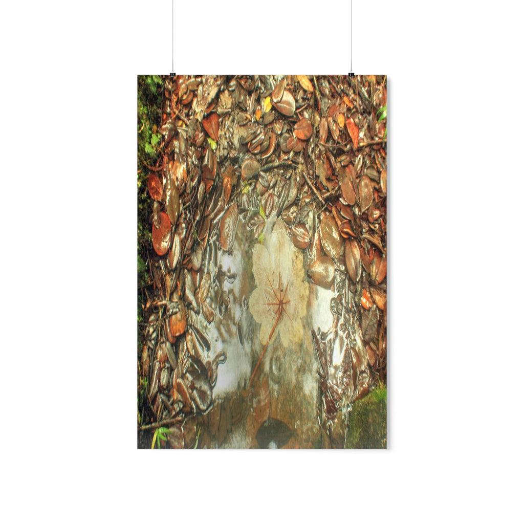 Premium Matte vertical posters - On the Tradewinds trail we find this (white side) Yagrumo tree-leaf after a rain storm - El Yunque PR - Green Forest Home