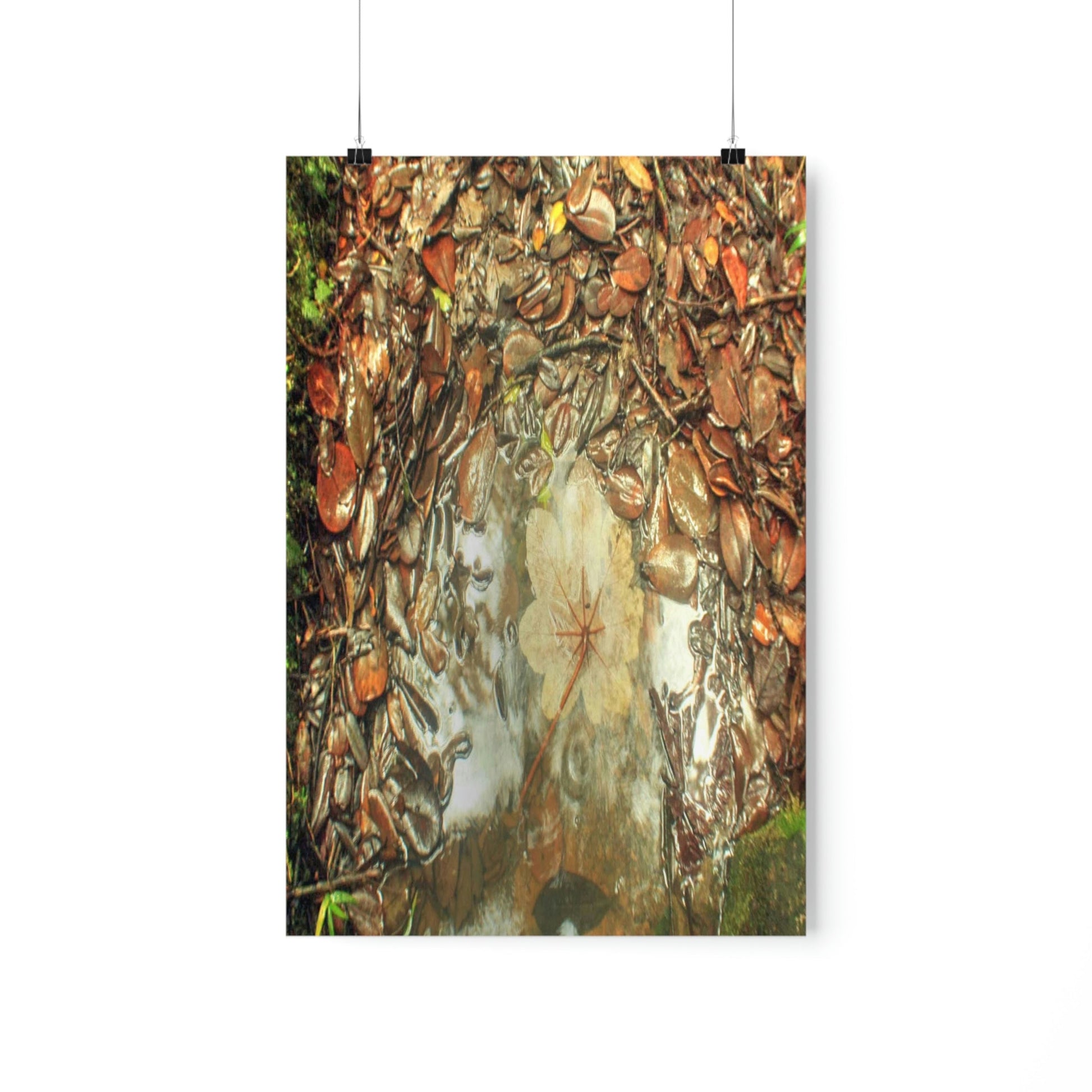 Premium Matte vertical posters - On the Tradewinds trail we find this (white side) Yagrumo tree-leaf after a rain storm - El Yunque PR - Green Forest Home