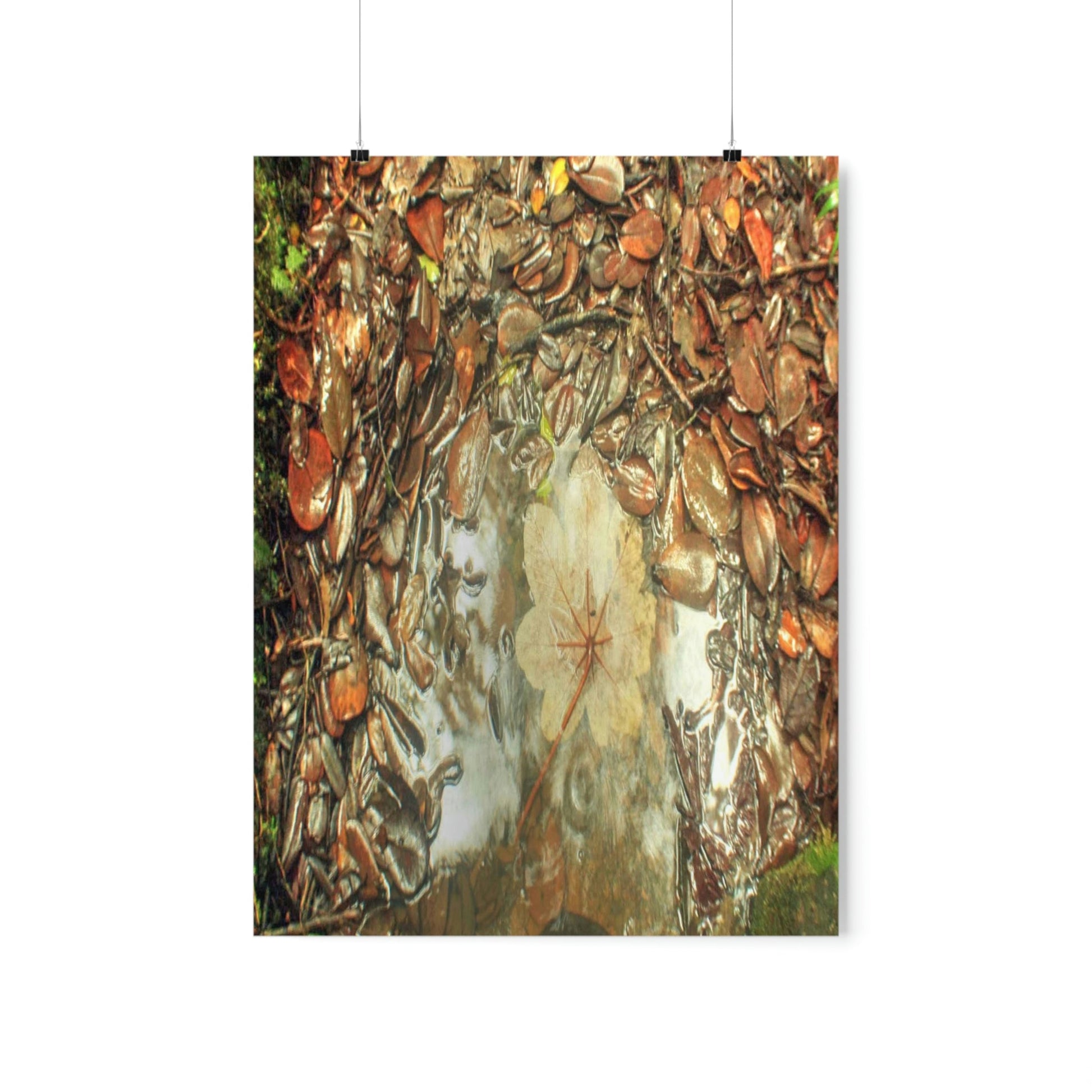 Premium Matte vertical posters - On the Tradewinds trail we find this (white side) Yagrumo tree-leaf after a rain storm - El Yunque PR - Green Forest Home