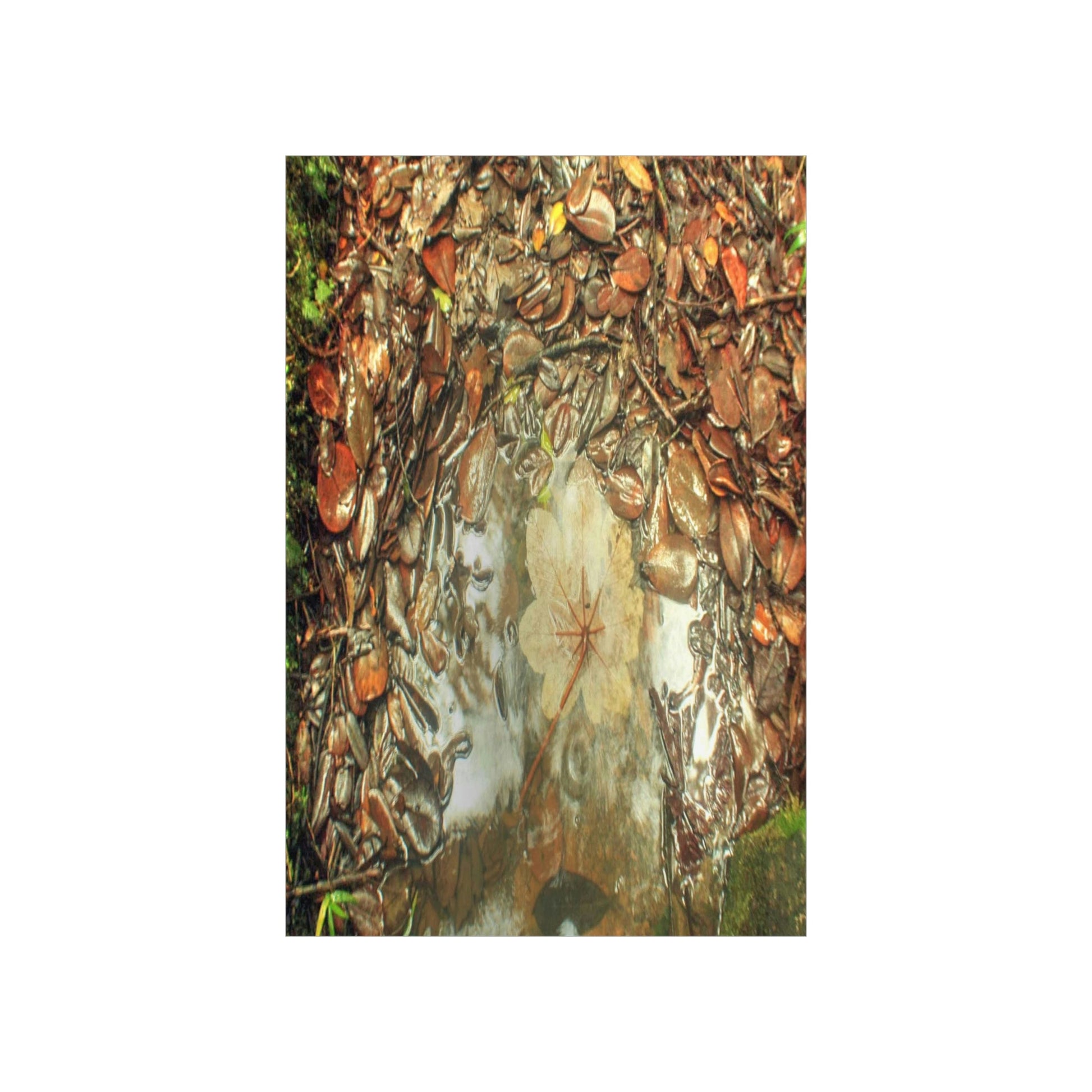 Premium Matte vertical posters - On the Tradewinds trail we find this (white side) Yagrumo tree-leaf after a rain storm - El Yunque PR - Green Forest Home