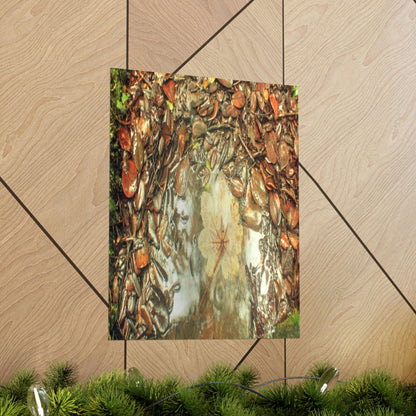 Premium Matte vertical posters - On the Tradewinds trail we find this (white side) Yagrumo tree-leaf after a rain storm - El Yunque PR - Green Forest Home