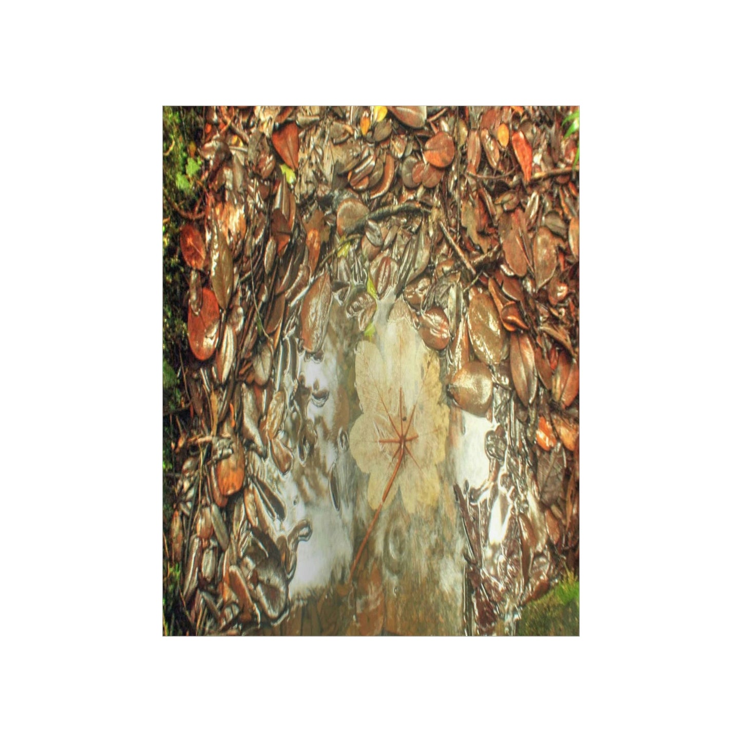 Premium Matte vertical posters - On the Tradewinds trail we find this (white side) Yagrumo tree-leaf after a rain storm - El Yunque PR - Green Forest Home