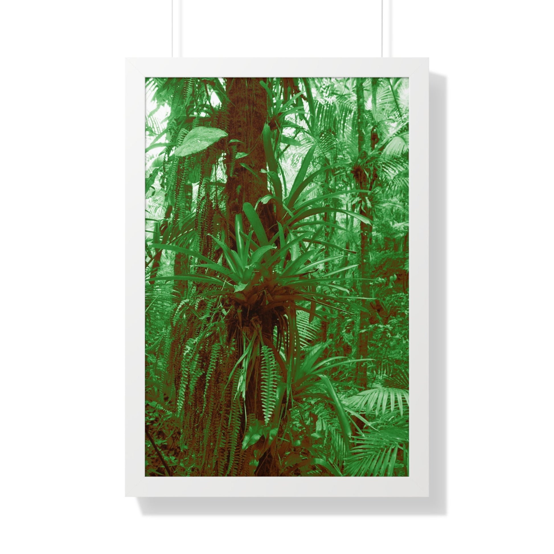 Rainforest Trails & Views - Gallery Canvas Wraps, Framed Vertical Poster - El Yunque National Forest - Puerto Rico - B&W Bromeliads - colorized green - Green Forest Home