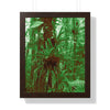 Rainforest Trails & Views - Gallery Canvas Wraps, Framed Vertical Poster - El Yunque National Forest - Puerto Rico - B&W Bromeliads - colorized green - Green Forest Home