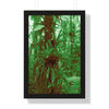 Rainforest Trails & Views - Gallery Canvas Wraps, Framed Vertical Poster - El Yunque National Forest - Puerto Rico - B&W Bromeliads - colorized green - Green Forest Home