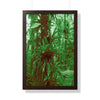 Rainforest Trails & Views - Gallery Canvas Wraps, Framed Vertical Poster - El Yunque National Forest - Puerto Rico - B&W Bromeliads - colorized green - Green Forest Home