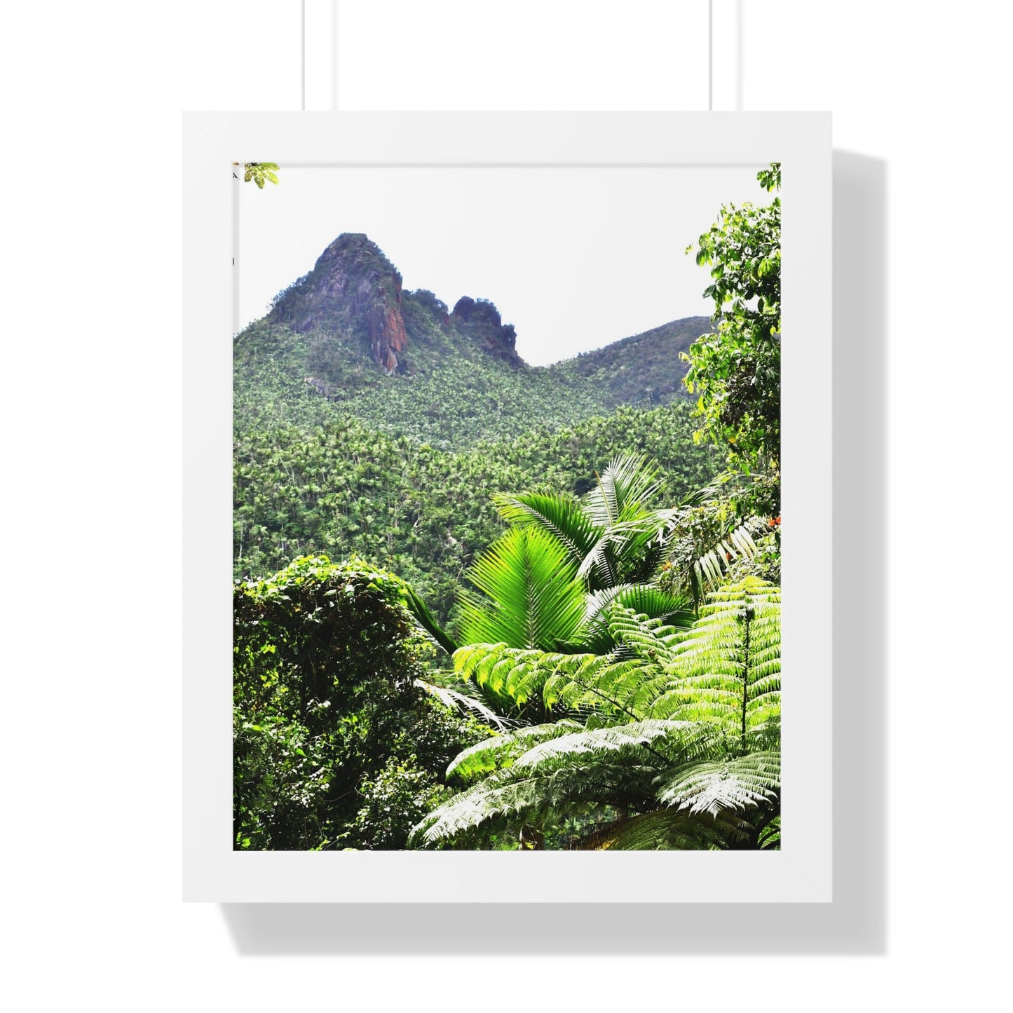 Rainforest Trails & Views - Gallery Canvas Wraps, Framed Vertical Poster - El Yunque National Forest - Puerto Rico - Color enhanced view of Mountains from Yokahu tower - Green Forest Home