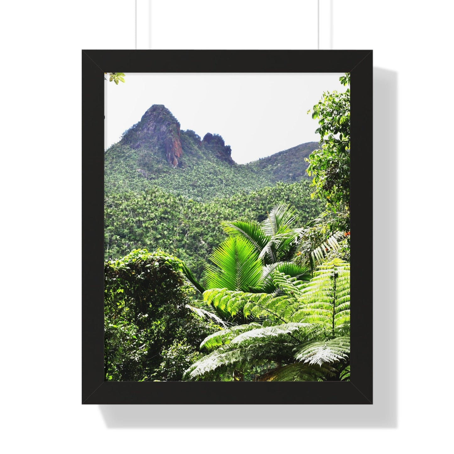 Rainforest Trails & Views - Gallery Canvas Wraps, Framed Vertical Poster - El Yunque National Forest - Puerto Rico - Color enhanced view of Mountains from Yokahu tower - Green Forest Home