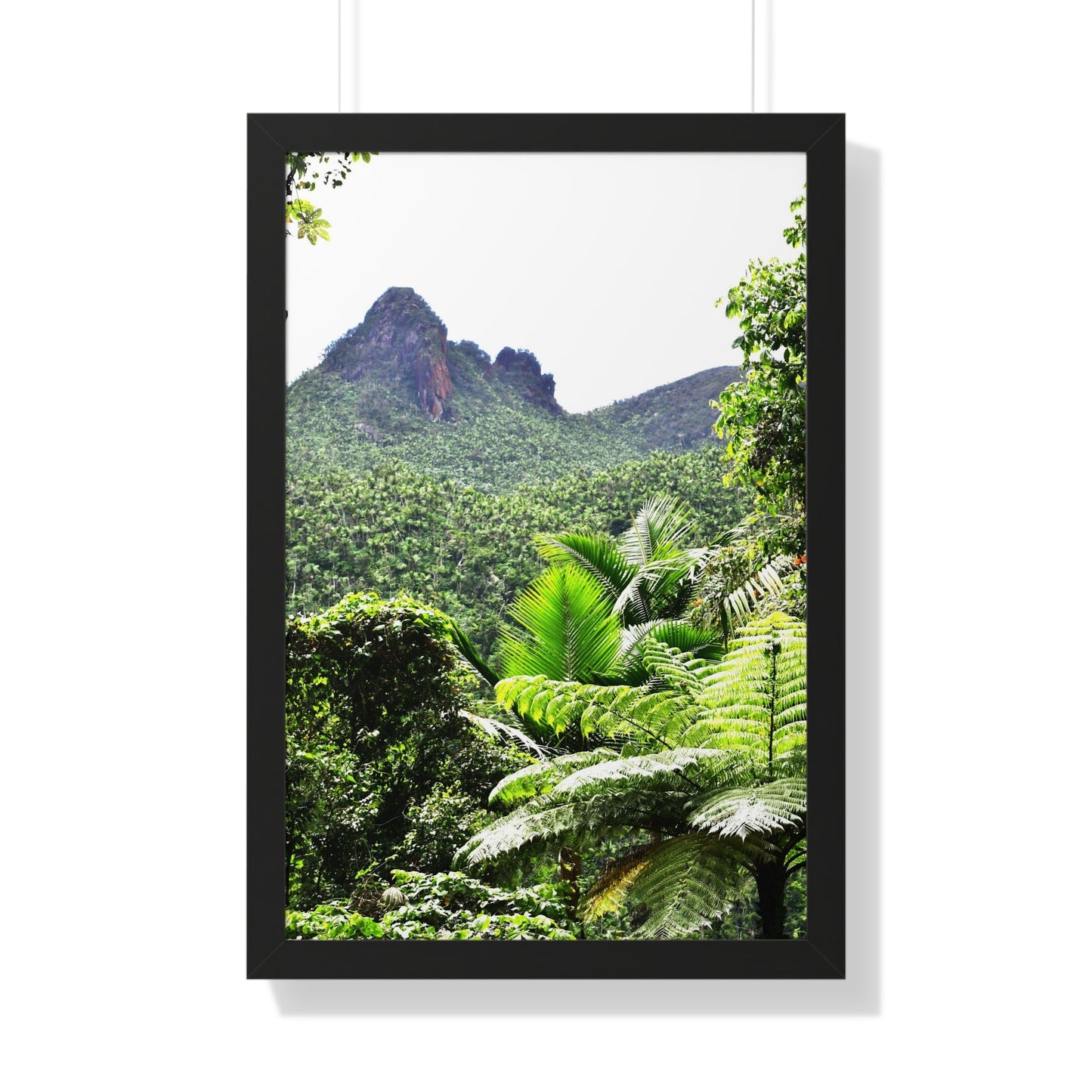 Rainforest Trails & Views - Gallery Canvas Wraps, Framed Vertical Poster - El Yunque National Forest - Puerto Rico - Color enhanced view of Mountains from Yokahu tower - Green Forest Home
