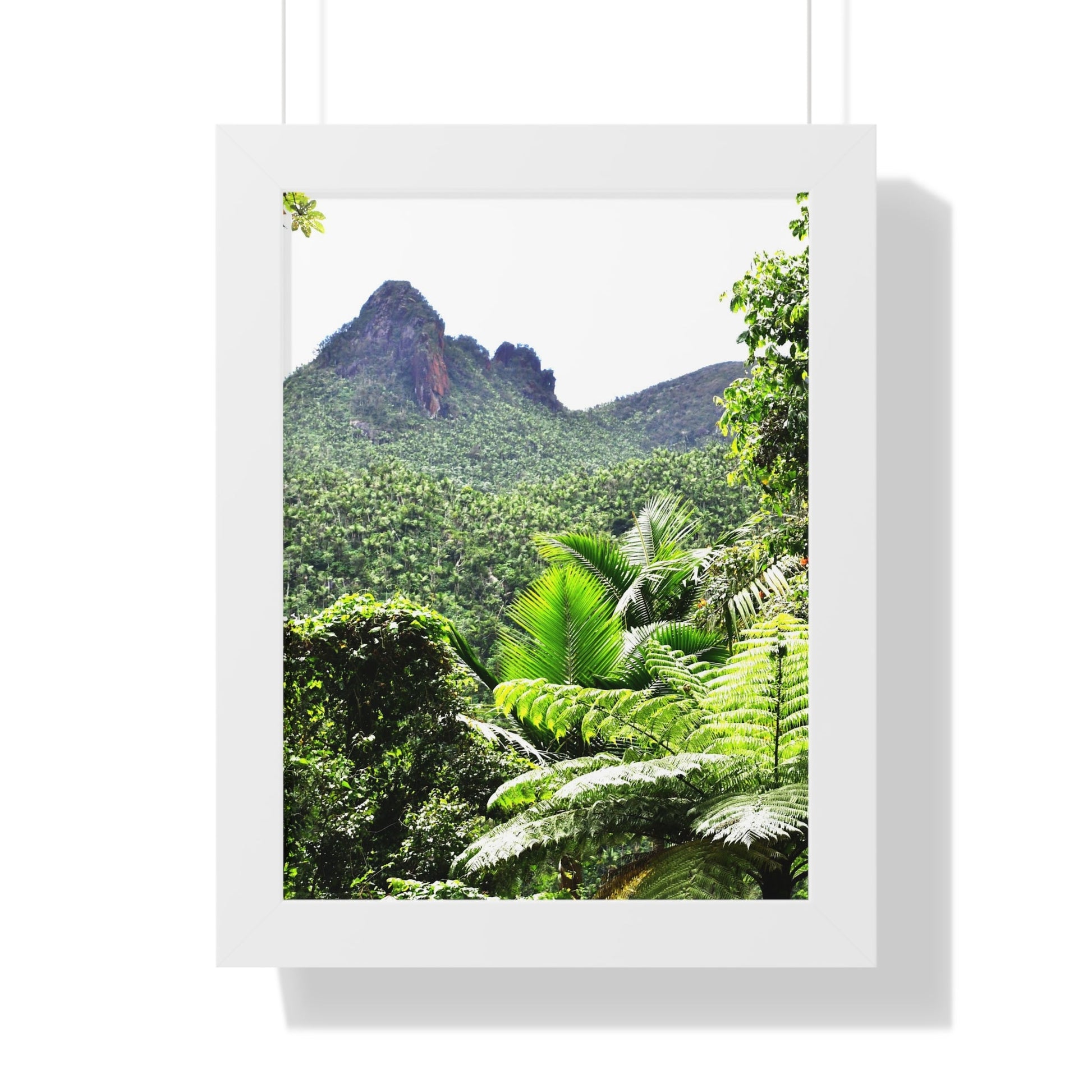 Rainforest Trails & Views - Gallery Canvas Wraps, Framed Vertical Poster - El Yunque National Forest - Puerto Rico - Color enhanced view of Mountains from Yokahu tower - Green Forest Home