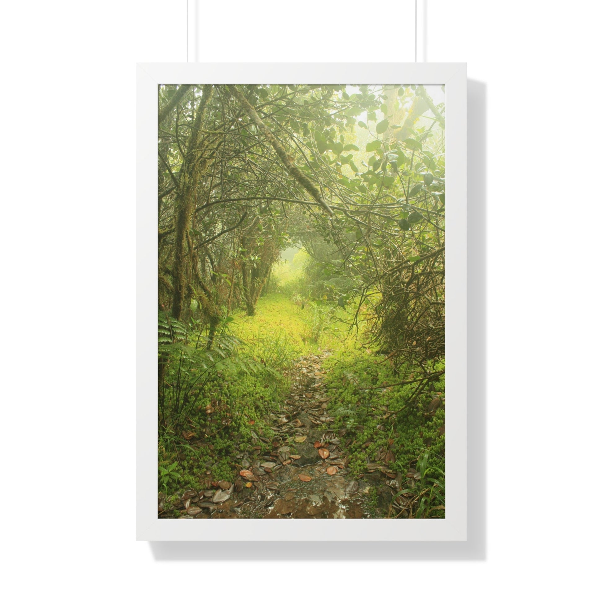 Rainforest Trails & Views - Gallery Canvas Wraps, Framed Vertical Poster - El Yunque National Forest - Puerto Rico - Foggy Tradewinds Trail - the cloud forest - Green Forest Home