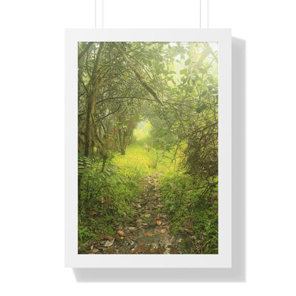 Rainforest Trails & Views - Gallery Canvas Wraps, Framed Vertical Poster - El Yunque National Forest - Puerto Rico - Foggy Tradewinds Trail - the cloud forest - Green Forest Home