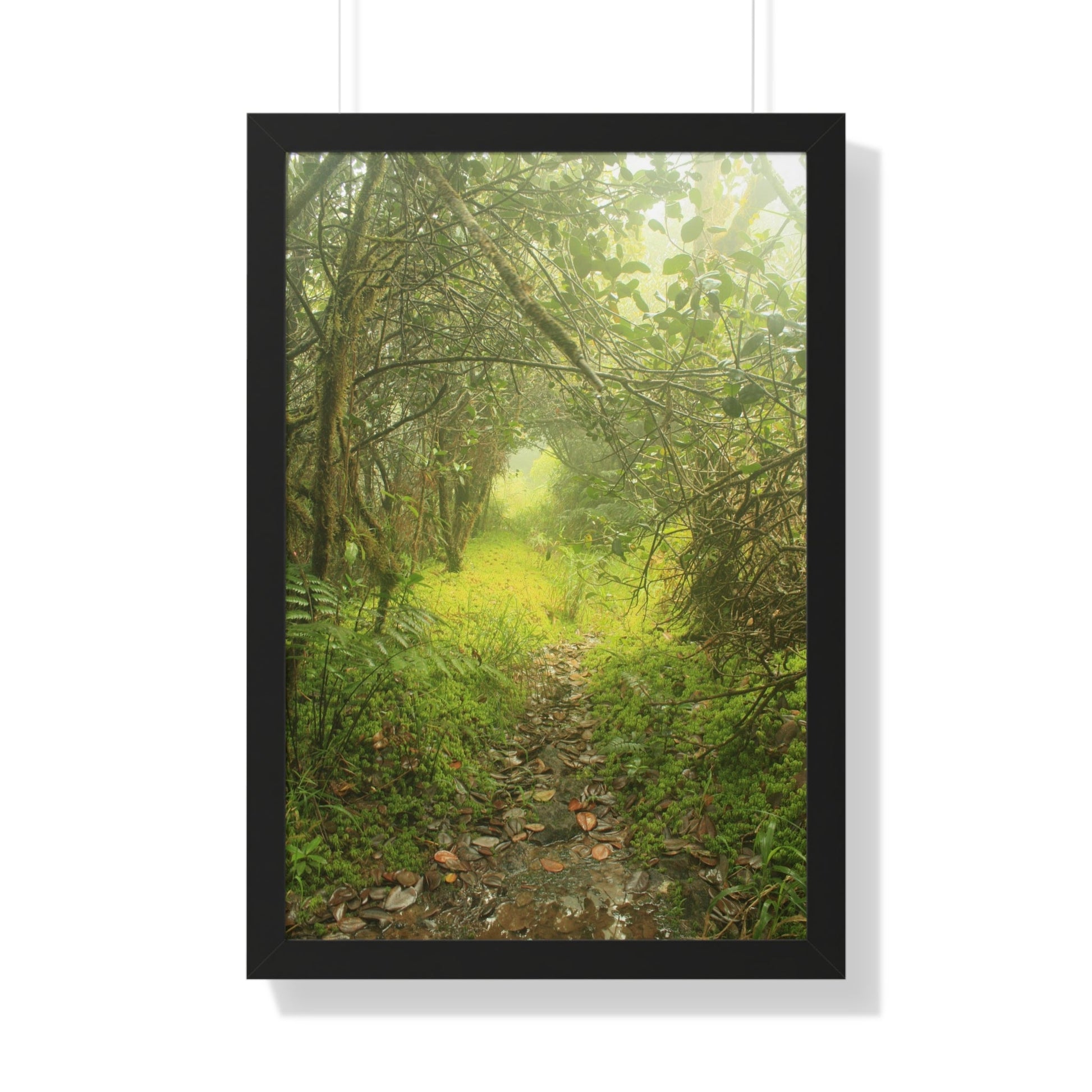 Rainforest Trails & Views - Gallery Canvas Wraps, Framed Vertical Poster - El Yunque National Forest - Puerto Rico - Foggy Tradewinds Trail - the cloud forest - Green Forest Home