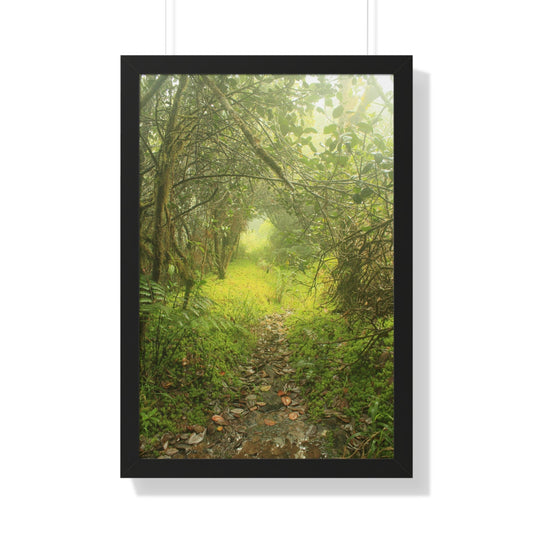 Rainforest Trails & Views - Gallery Canvas Wraps, Framed Vertical Poster - El Yunque National Forest - Puerto Rico - Foggy Tradewinds Trail - the cloud forest - Green Forest Home