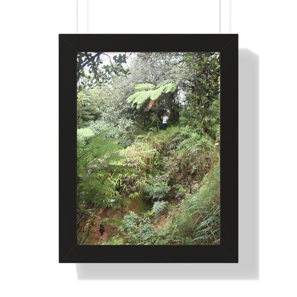 Rainforest Trails & Views - Gallery Canvas Wraps, Framed Vertical Poster - El Yunque National Forest - Puerto Rico - Jorge on early Tradewinds trail huge landslide - Green Forest Home