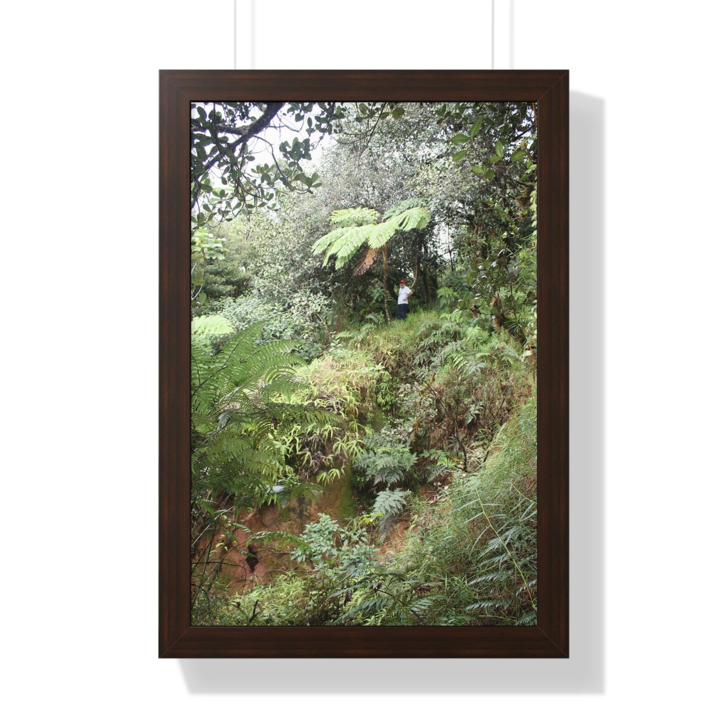 Rainforest Trails & Views - Gallery Canvas Wraps, Framed Vertical Poster - El Yunque National Forest - Puerto Rico - Jorge on early Tradewinds trail huge landslide - Green Forest Home