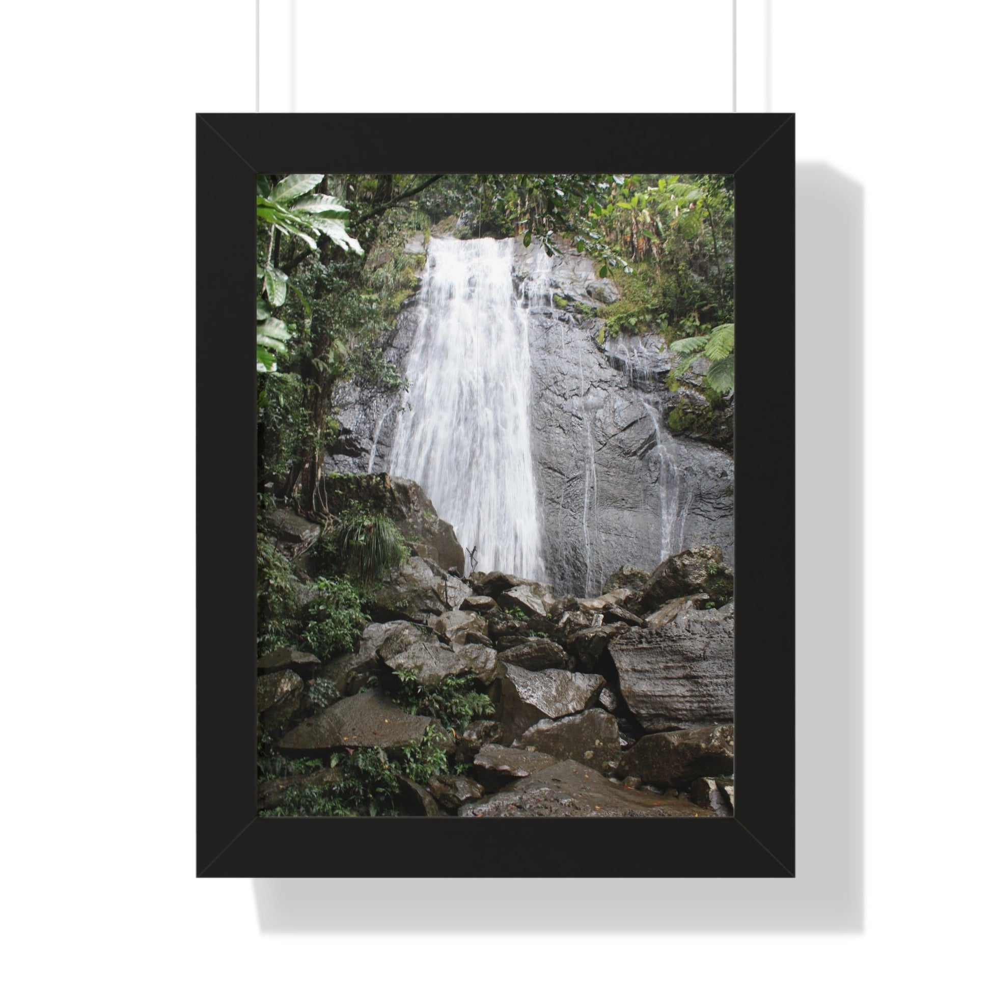 Rainforest Trails & Views - Gallery Canvas Wraps, Framed Vertical Poster - El Yunque National Forest - Puerto Rico - La Coca Falls on PR 191 road - Green Forest Home