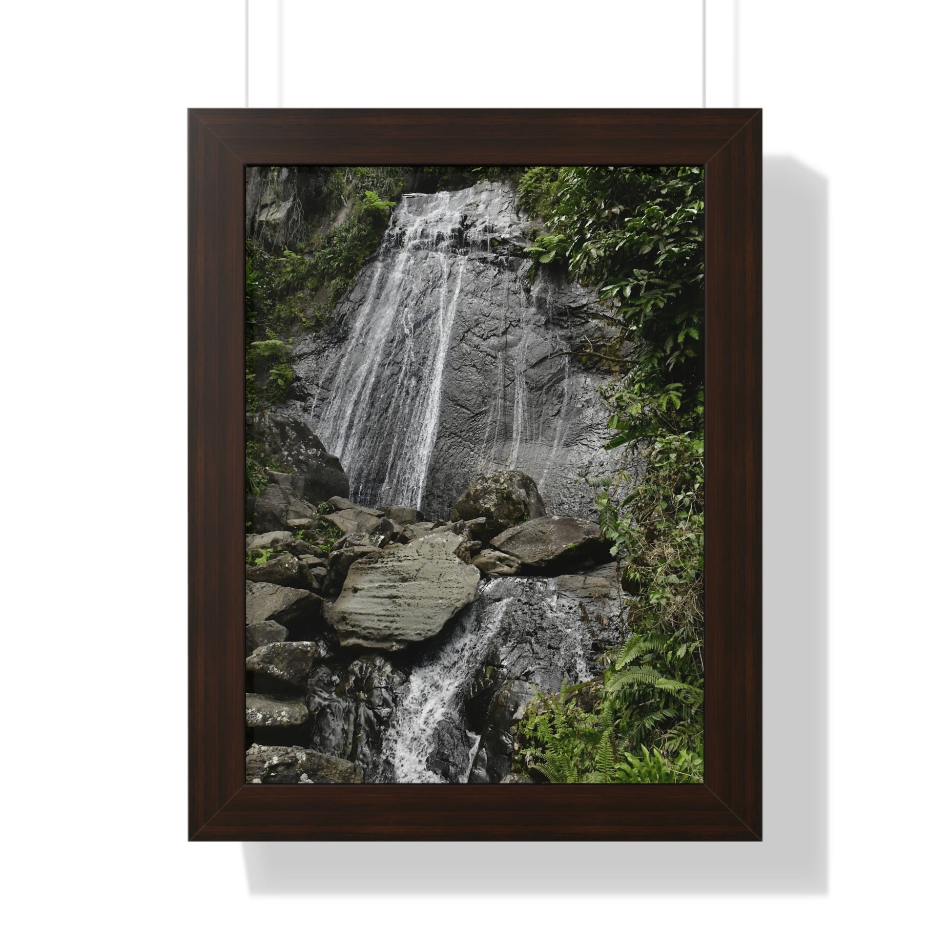 Rainforest Trails & Views - Gallery Canvas Wraps, Framed Vertical Poster - El Yunque National Forest - Puerto Rico - La Coca waterfall the main stop up to El Yunque - Green Forest Home