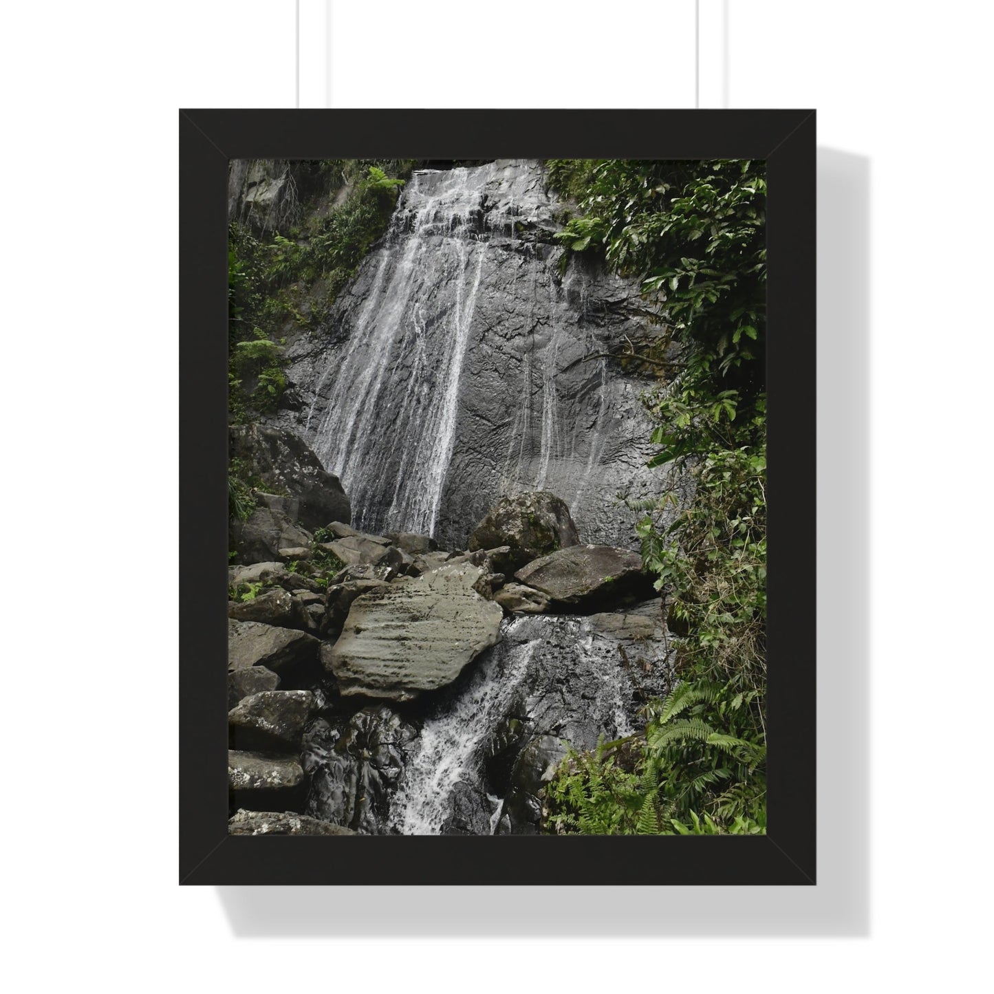 Rainforest Trails & Views - Gallery Canvas Wraps, Framed Vertical Poster - El Yunque National Forest - Puerto Rico - La Coca waterfall the main stop up to El Yunque - Green Forest Home