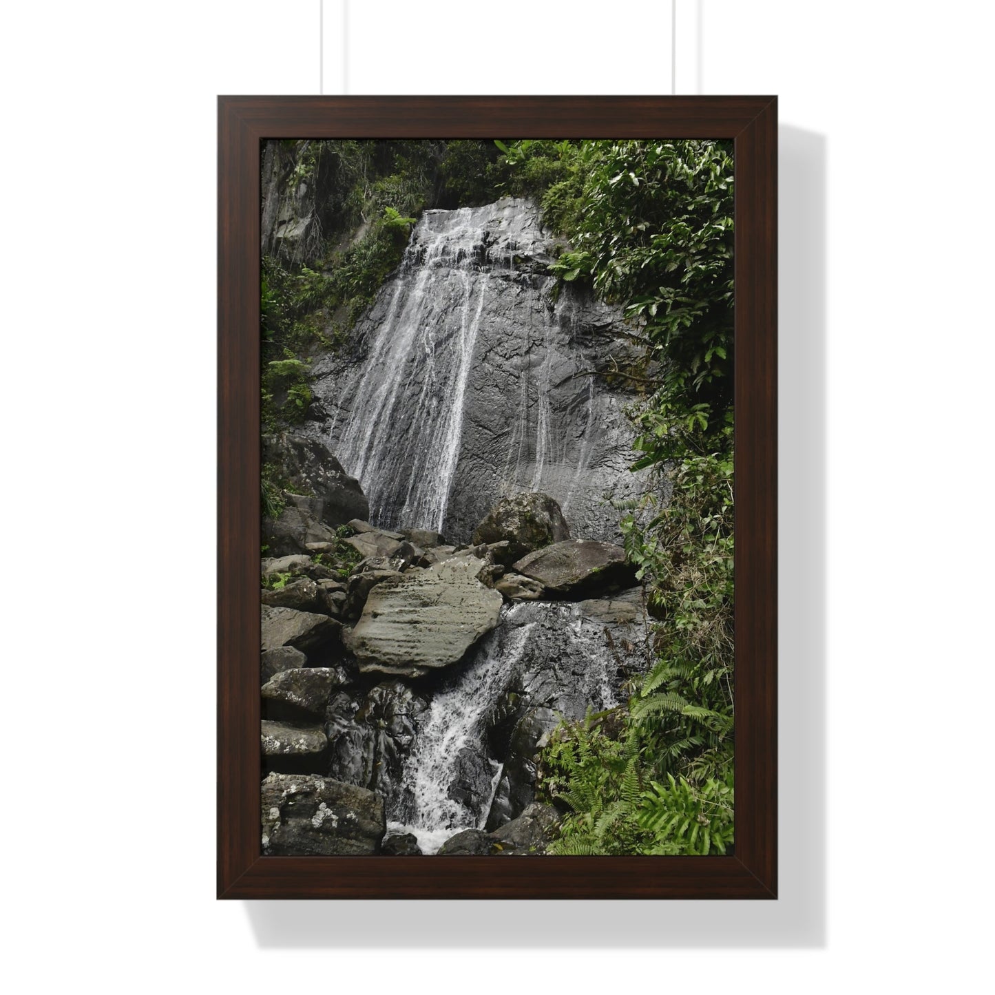 Rainforest Trails & Views - Gallery Canvas Wraps, Framed Vertical Poster - El Yunque National Forest - Puerto Rico - La Coca waterfall the main stop up to El Yunque - Green Forest Home