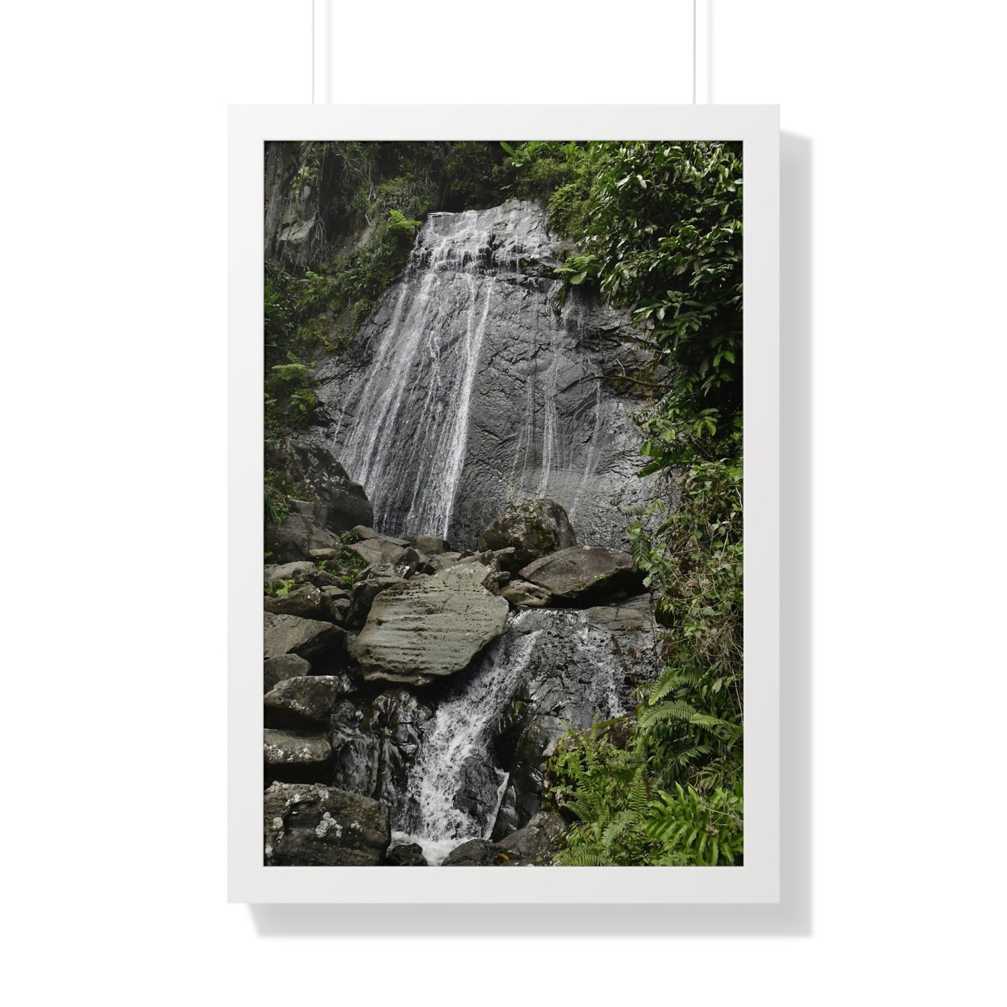 Rainforest Trails & Views - Gallery Canvas Wraps, Framed Vertical Poster - El Yunque National Forest - Puerto Rico - La Coca waterfall the main stop up to El Yunque - Green Forest Home