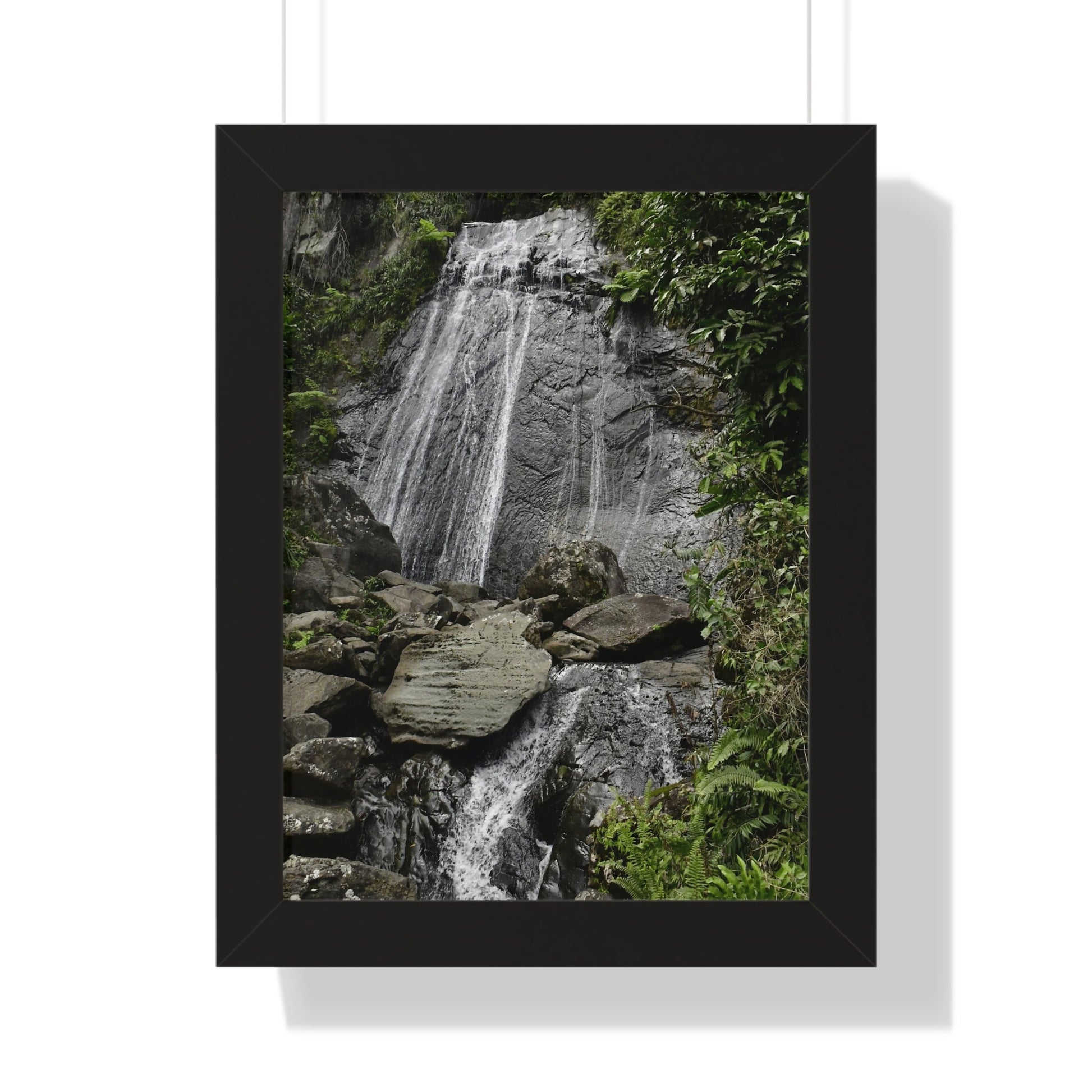 Rainforest Trails & Views - Gallery Canvas Wraps, Framed Vertical Poster - El Yunque National Forest - Puerto Rico - La Coca waterfall the main stop up to El Yunque - Green Forest Home