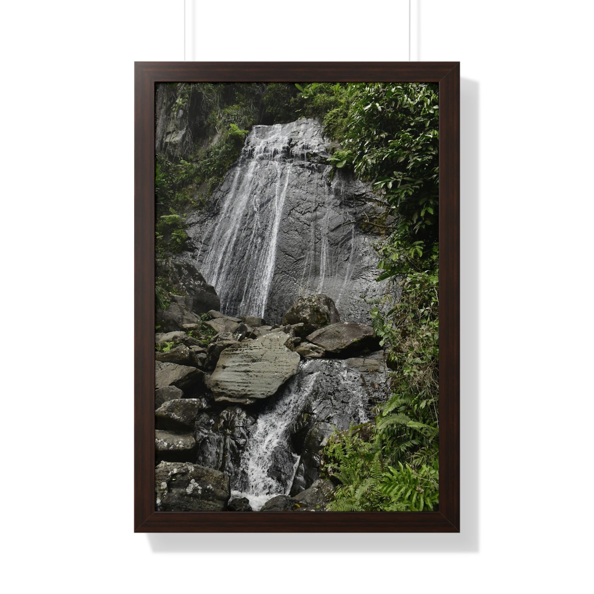 Rainforest Trails & Views - Gallery Canvas Wraps, Framed Vertical Poster - El Yunque National Forest - Puerto Rico - La Coca waterfall the main stop up to El Yunque - Green Forest Home