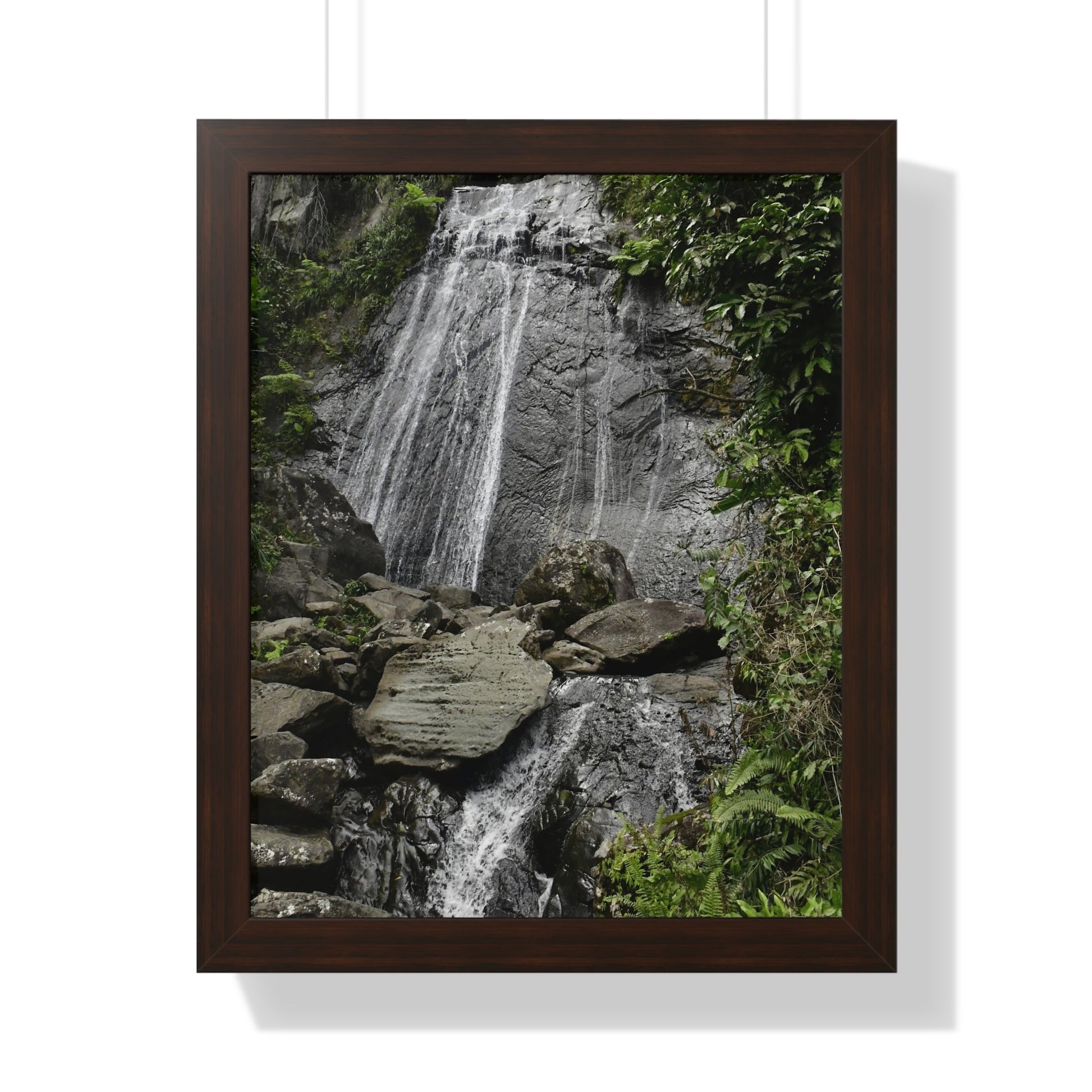 Rainforest Trails & Views - Gallery Canvas Wraps, Framed Vertical Poster - El Yunque National Forest - Puerto Rico - La Coca waterfall the main stop up to El Yunque - Green Forest Home