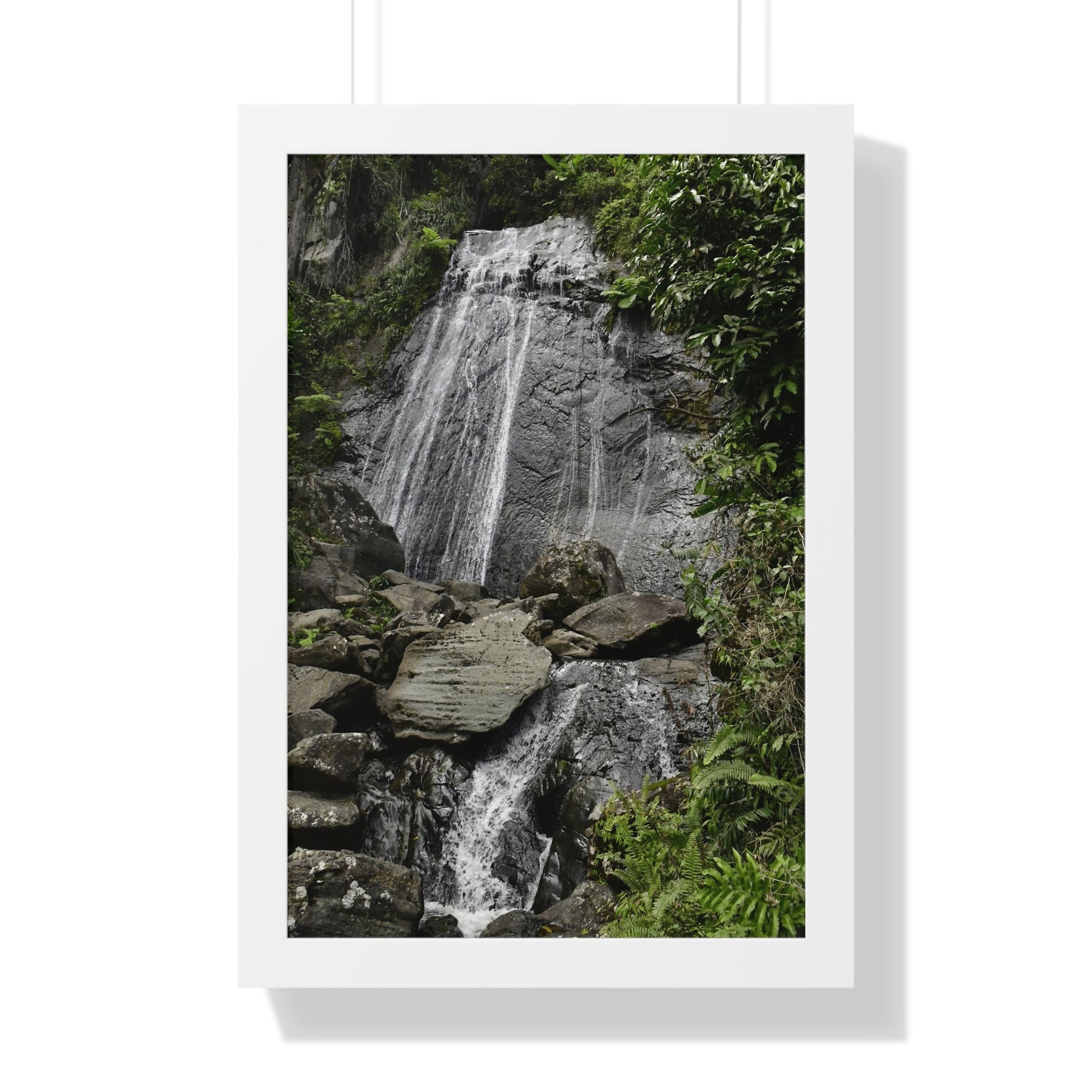 Rainforest Trails & Views - Gallery Canvas Wraps, Framed Vertical Poster - El Yunque National Forest - Puerto Rico - La Coca waterfall the main stop up to El Yunque - Green Forest Home