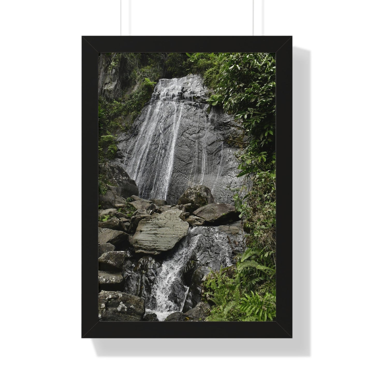 Rainforest Trails & Views - Gallery Canvas Wraps, Framed Vertical Poster - El Yunque National Forest - Puerto Rico - La Coca waterfall the main stop up to El Yunque - Green Forest Home