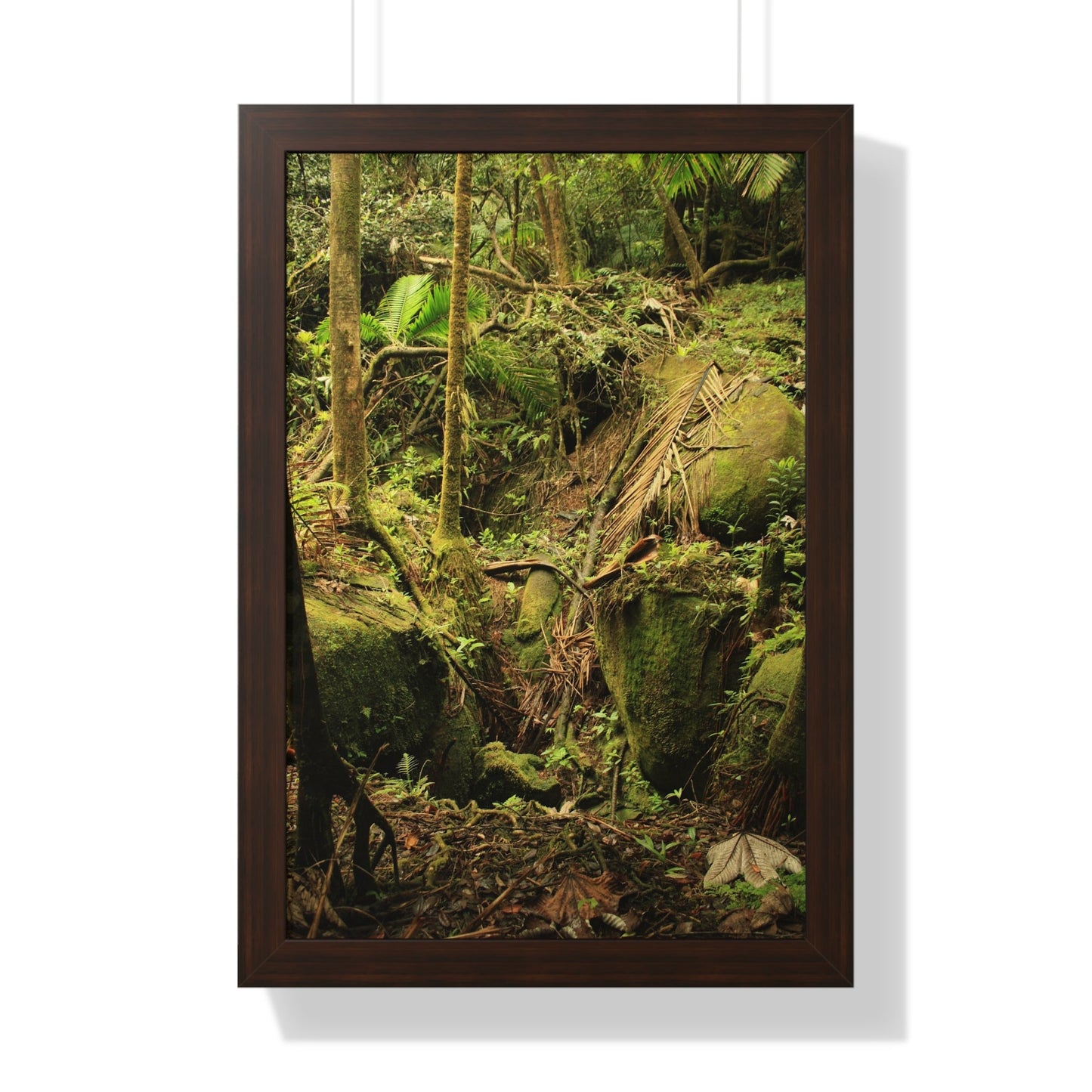 Rainforest Trails & Views - Gallery Canvas Wraps, Framed Vertical Poster - El Yunque National Forest - Puerto Rico - Near Tradewinds - Dangerous drainage holes - Green Forest Home