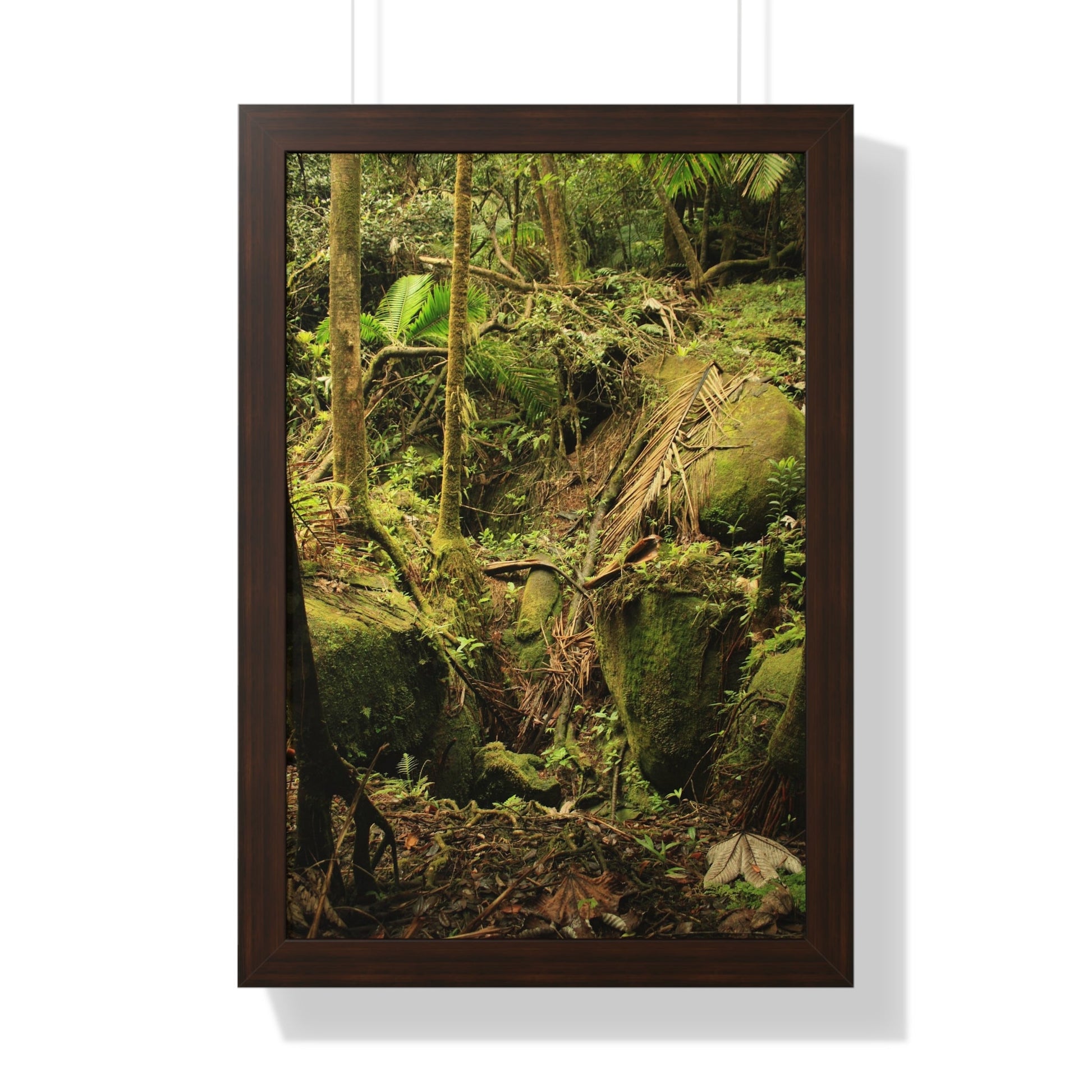 Rainforest Trails & Views - Gallery Canvas Wraps, Framed Vertical Poster - El Yunque National Forest - Puerto Rico - Near Tradewinds - Dangerous drainage holes - Green Forest Home