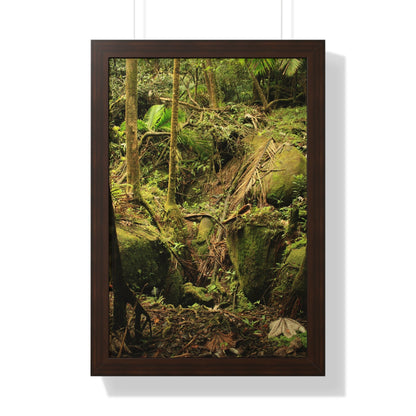Rainforest Trails & Views - Gallery Canvas Wraps, Framed Vertical Poster - El Yunque National Forest - Puerto Rico - Near Tradewinds - Dangerous drainage holes - Green Forest Home
