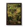 Rainforest Trails & Views - Gallery Canvas Wraps, Framed Vertical Poster - El Yunque National Forest - Puerto Rico - Near Tradewinds - Dangerous drainage holes - Green Forest Home