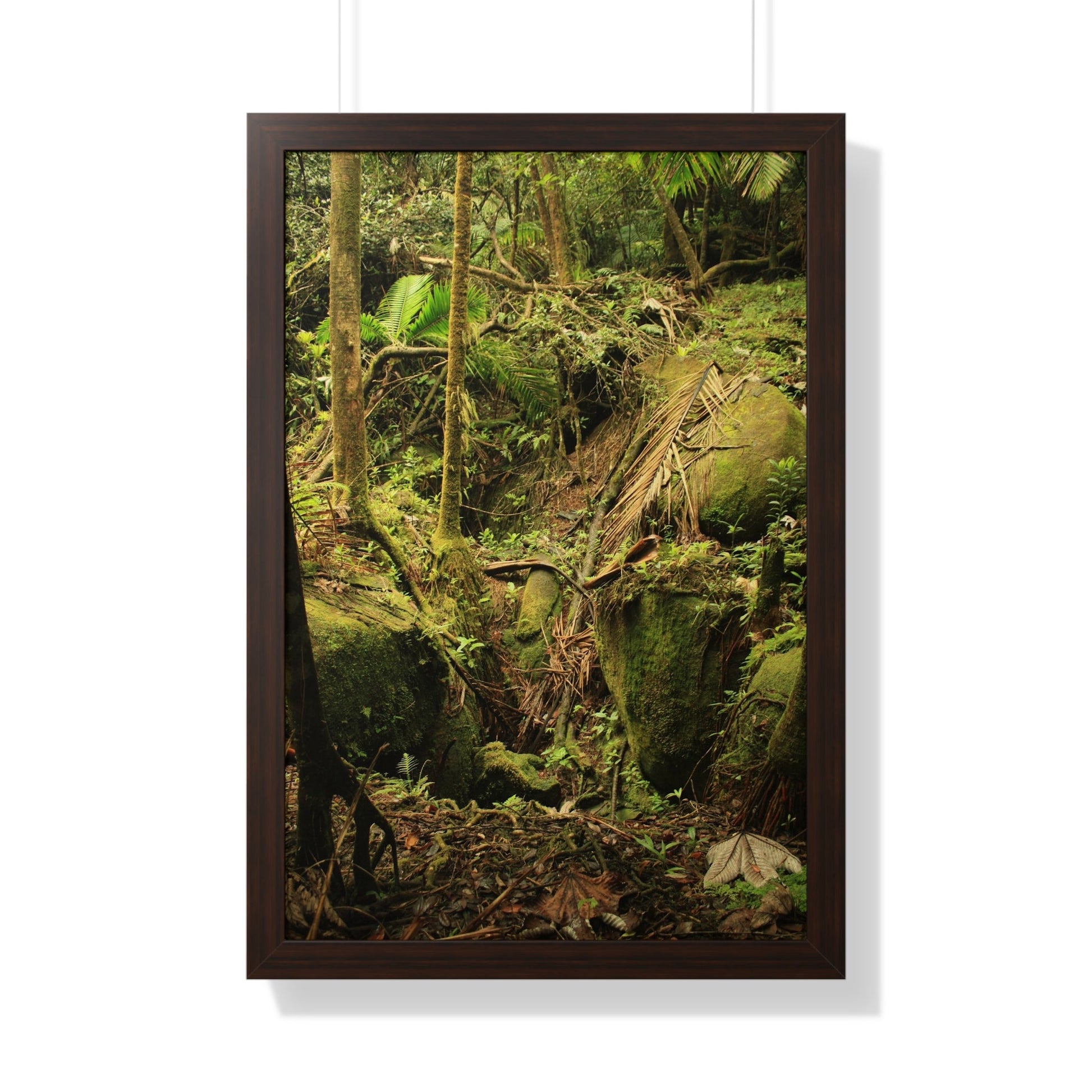 Rainforest Trails & Views - Gallery Canvas Wraps, Framed Vertical Poster - El Yunque National Forest - Puerto Rico - Near Tradewinds - Dangerous drainage holes - Green Forest Home