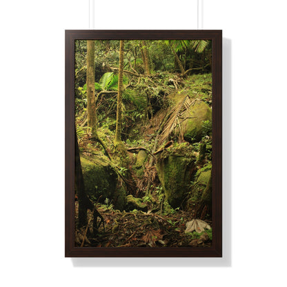 Rainforest Trails & Views - Gallery Canvas Wraps, Framed Vertical Poster - El Yunque National Forest - Puerto Rico - Near Tradewinds - Dangerous drainage holes - Green Forest Home