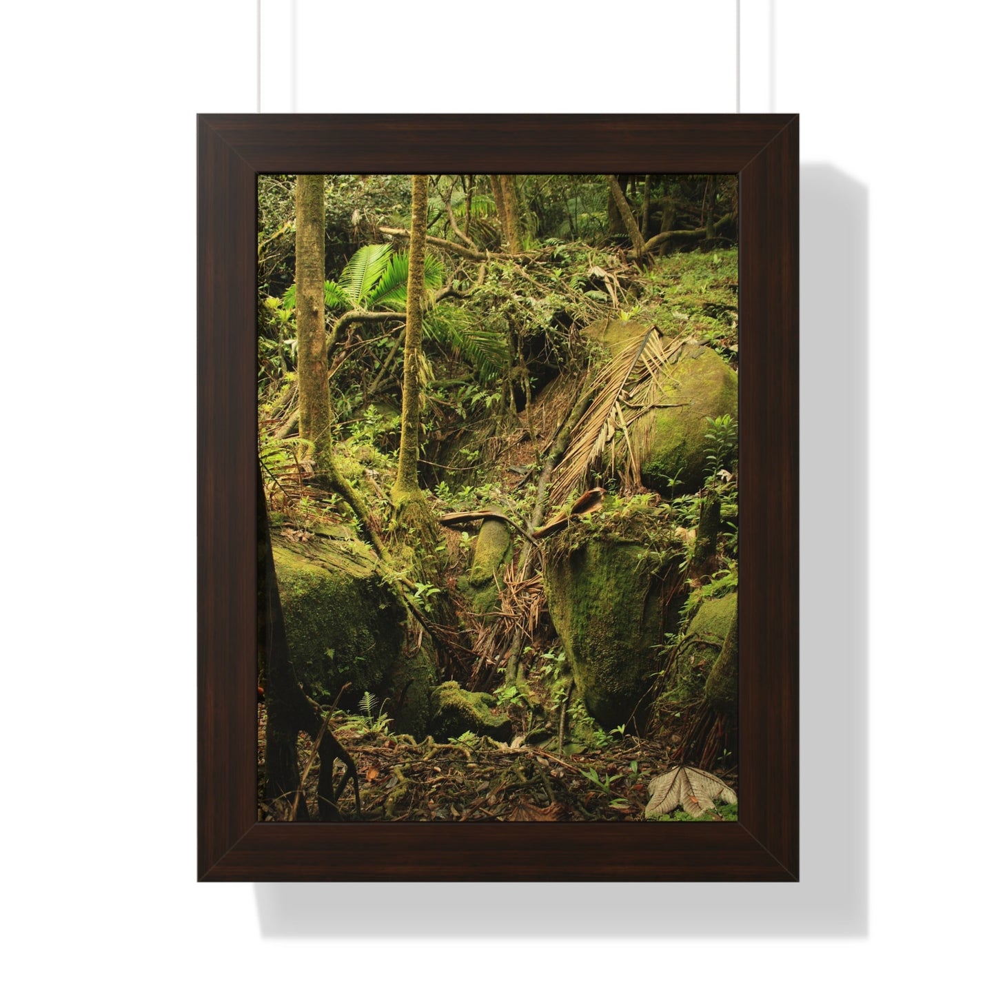 Rainforest Trails & Views - Gallery Canvas Wraps, Framed Vertical Poster - El Yunque National Forest - Puerto Rico - Near Tradewinds - Dangerous drainage holes - Green Forest Home
